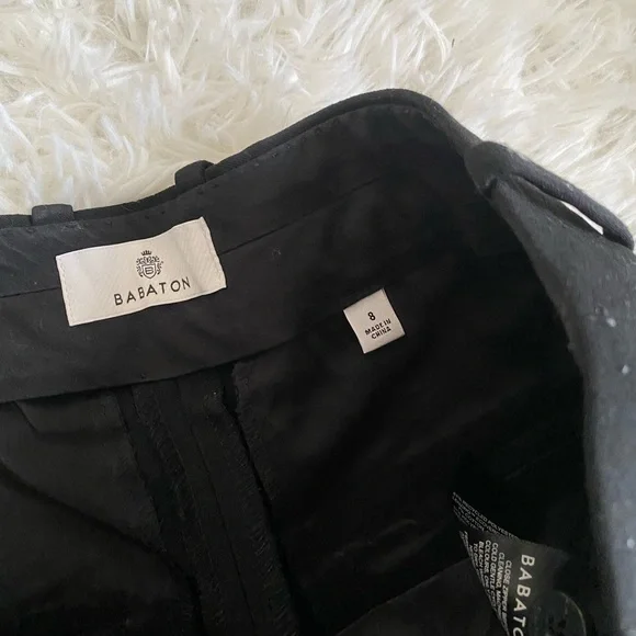 Aritzia Babaton Pleated Pant —TALL - Picture 5 of 11